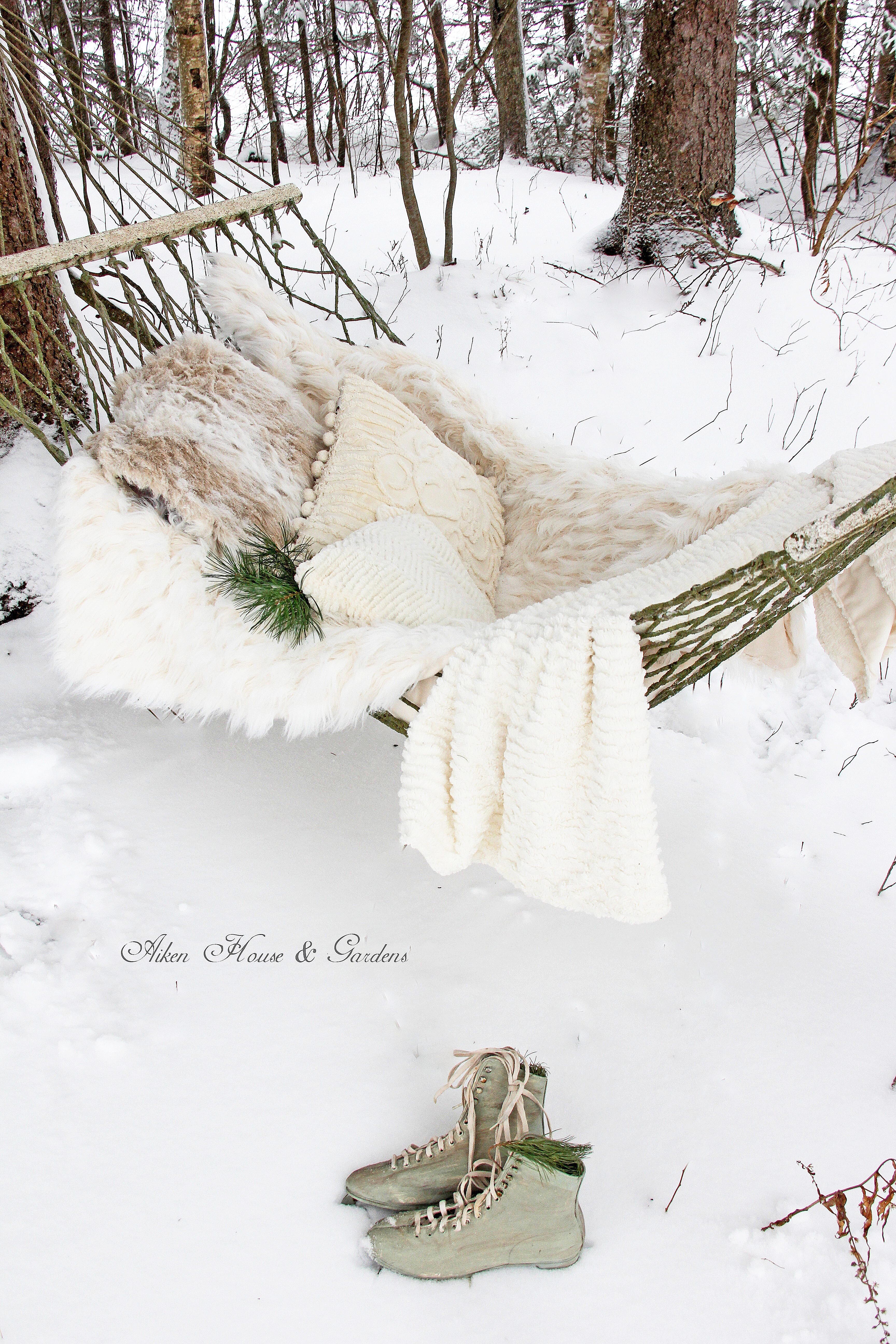 ny-winter-hammock-IMG_3620.jpeg