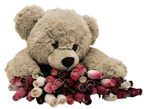 png -  my teddy bear  - Page 4 0_55e63_a3c9010c_L