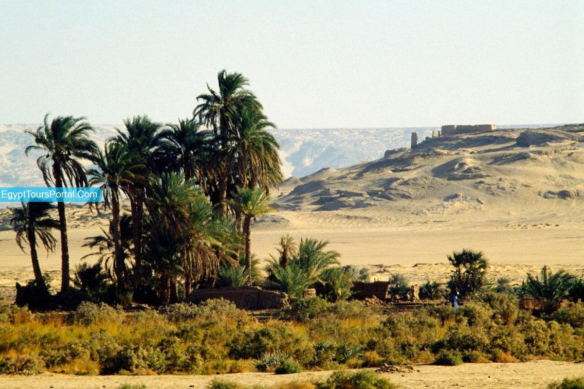 Egipatski okeani dina - Page 3 Kharga-Oasis-Facts-Egypt-Tours-Portal