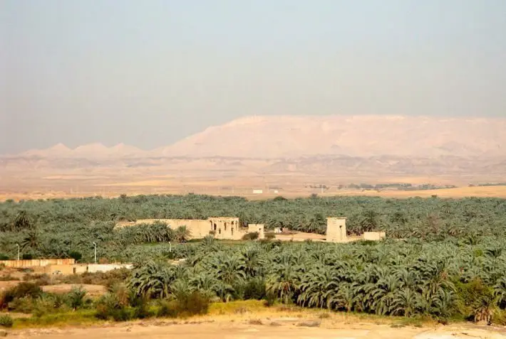 Egipatski okeani dina - Page 3 Kharga-Oasis-Libyan-desert-with-the-Temple-of-Hibis-Photo-by-Leoboudv