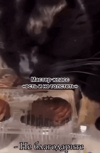 DOZOR2.gif