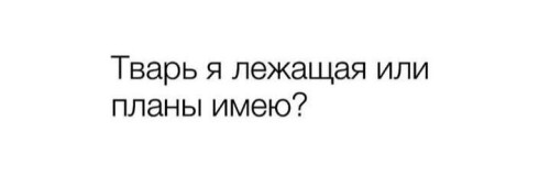 imagec76d8be466fbe02f.md.jpeg
