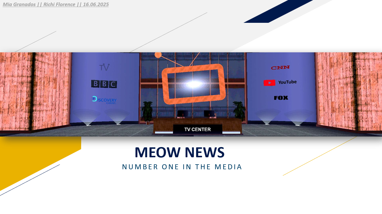 SNIMOK-EKRANA-2025-06-16-220341.png