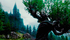 https://a.imgfoto.host/2025/06/18/1ee8bf67f64aa1aa3.gif