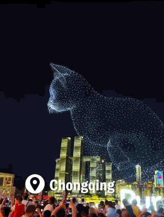 DRONY.gif