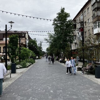 IMG_3204.th.jpeg