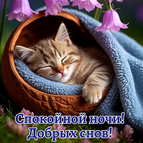 Кафе "У пани Сони"