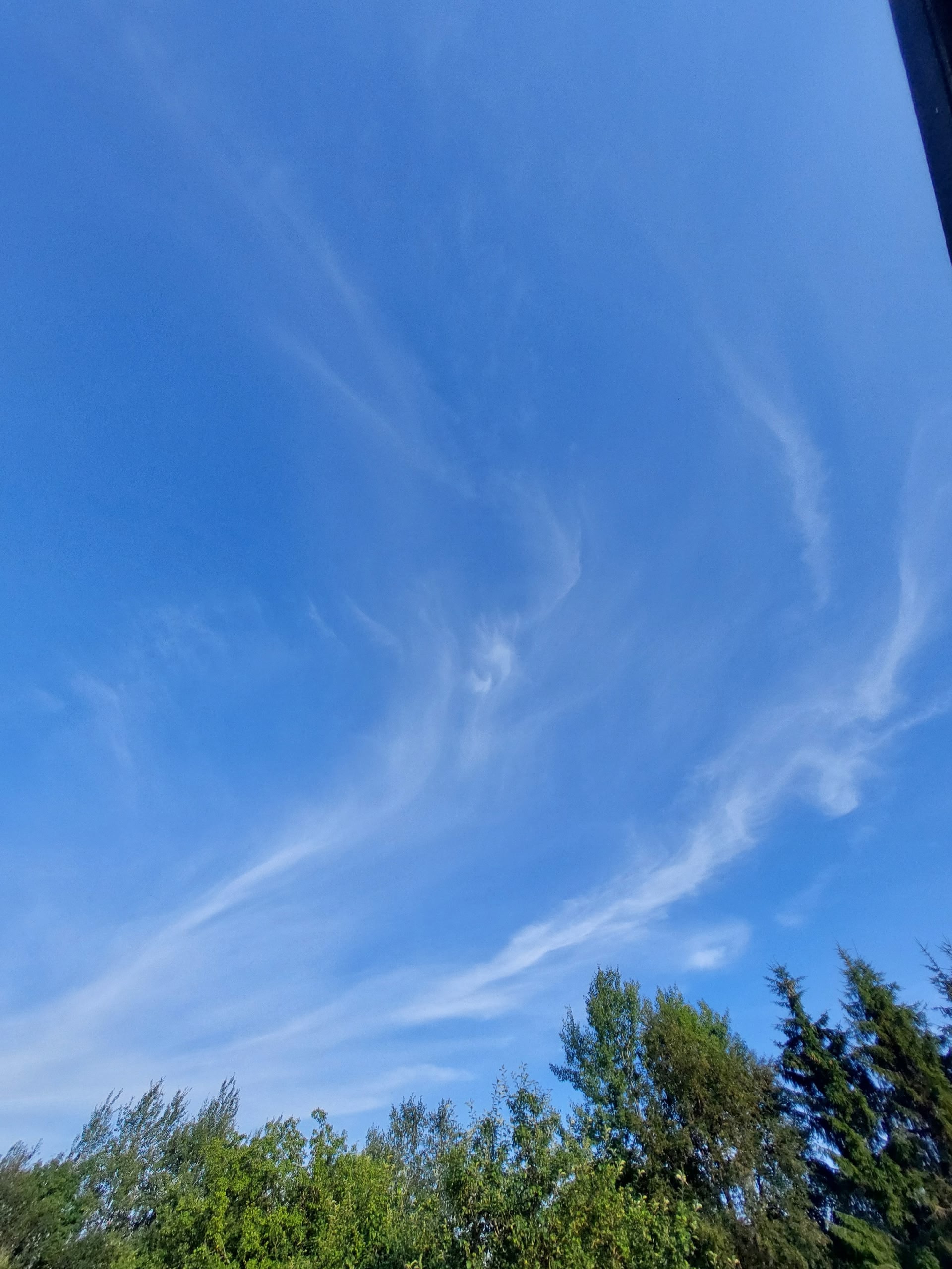 Такое разное небо