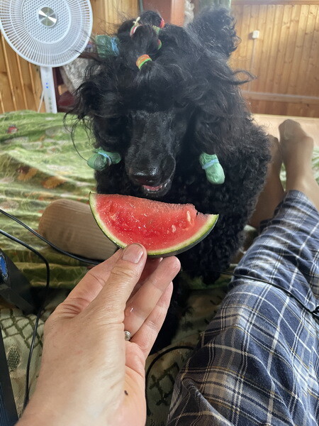 https://a.imgfoto.host/2025/07/27/IMG_7888.jpeg