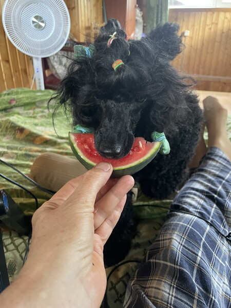 https://a.imgfoto.host/2025/07/27/IMG_7889.jpeg