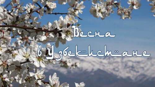 e9394a0e4502f67a8721977425039e5cb9a4264f