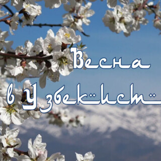 e9394a0e4502f67a8721977425039e5cb9a4264f