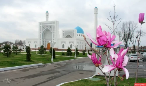 ib7446e1f51f686fe.webp-MECET