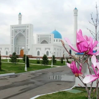 ib7446e1f51f686fe.webp-MECET