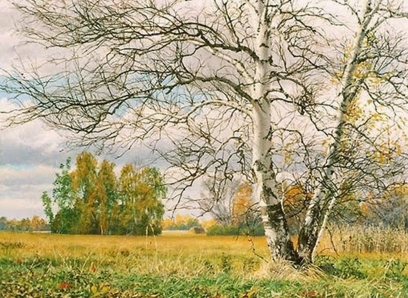 17.-2025-09-20_013120.jpeg