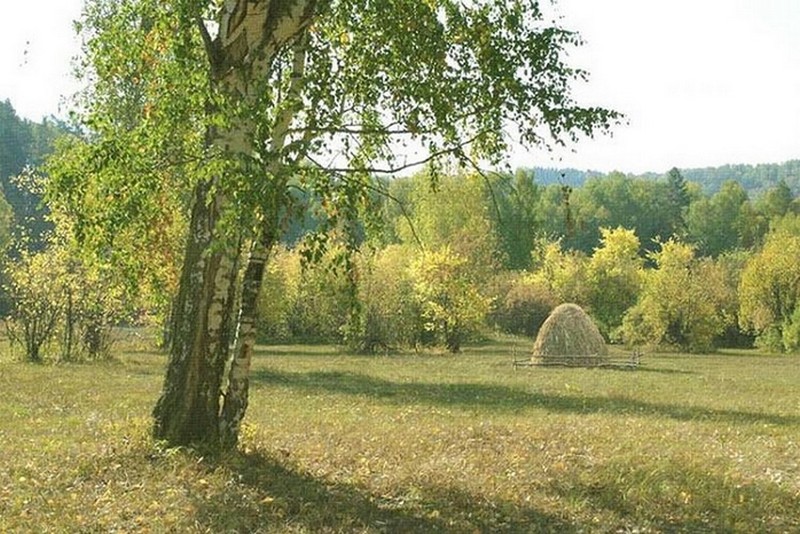 5.-2025-09-20_011022.jpeg