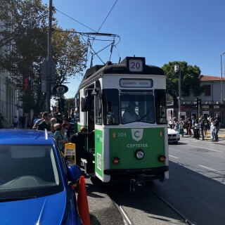 IMG_3959.th.jpeg