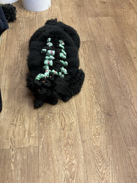https://a.imgfoto.host/2025/10/08/IMG_0961.jpeg