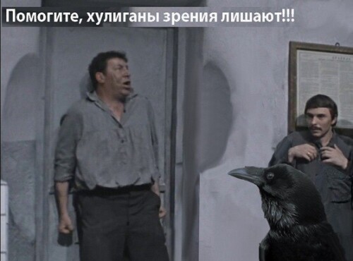 Скриншот 30 01 2024 175338 — копия
