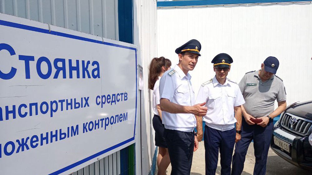 https://a.imgfoto.host/2025/10/14/photo_2024-06-20_16-54-09.jpeg