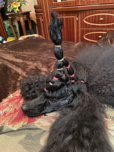https://a.imgfoto.host/2025/10/15/IMG_1497.jpeg