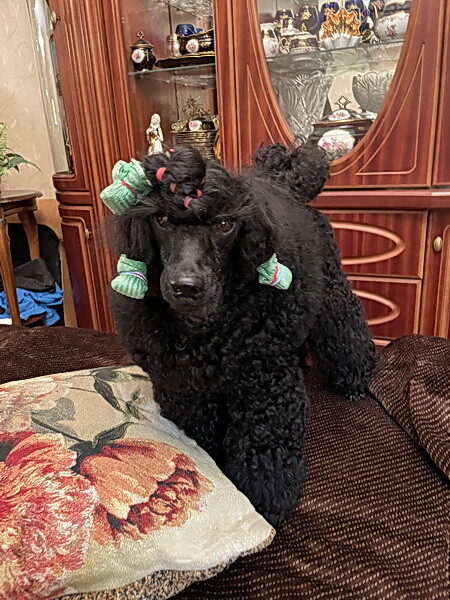 https://a.imgfoto.host/2025/10/15/IMG_1500.jpeg