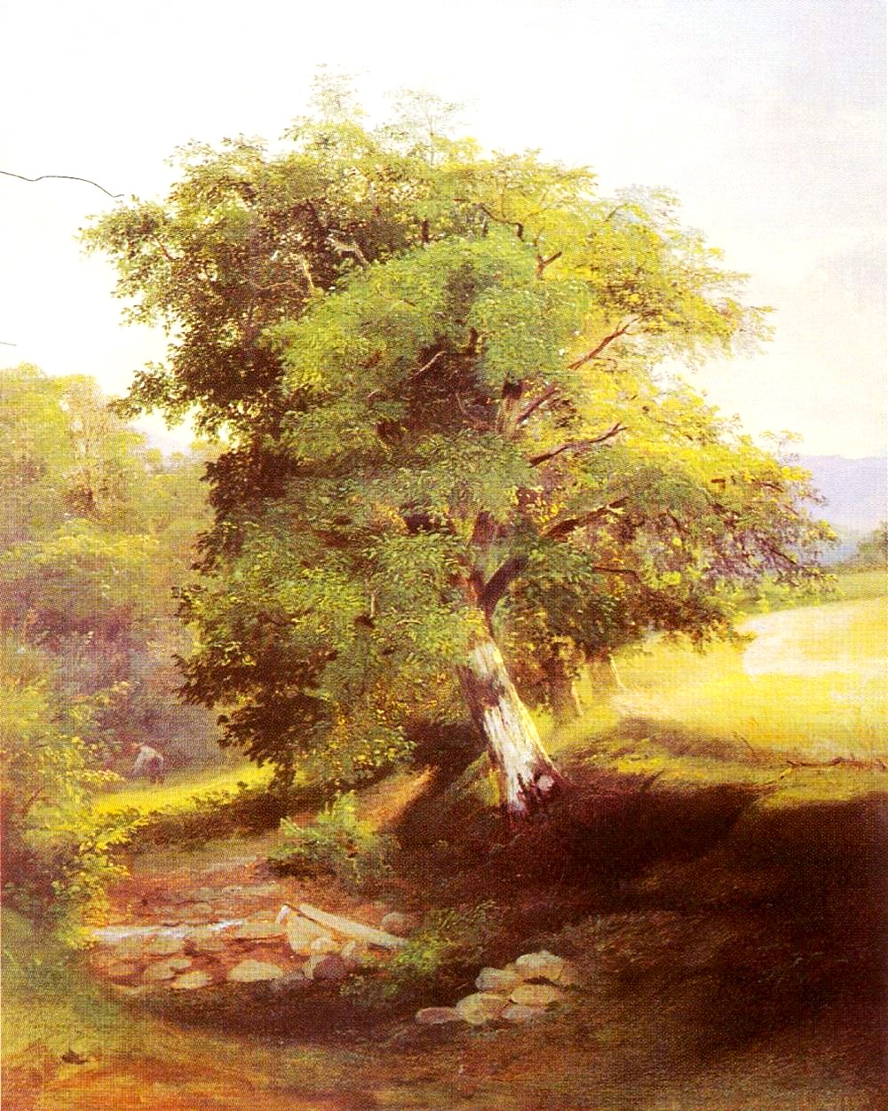 1000-PEIZAZ.-1830-1....jpeg
