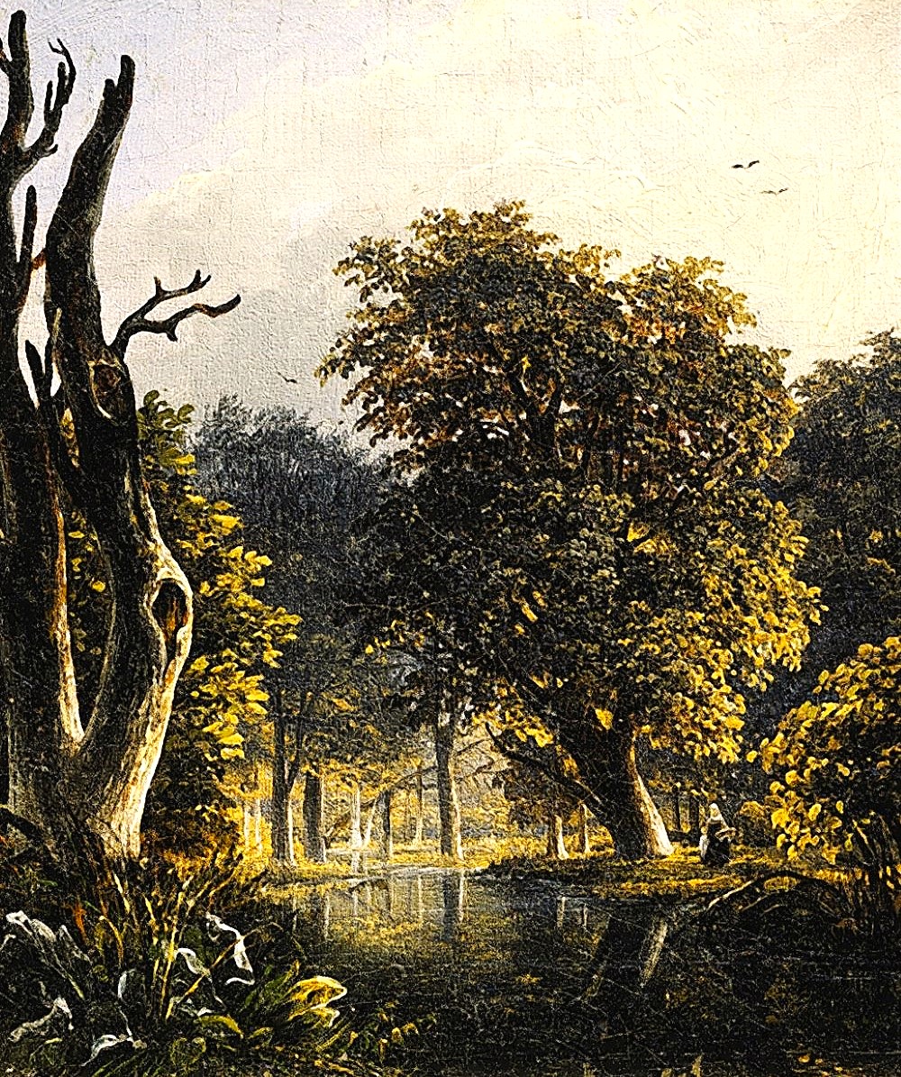 1000-V-PARKE....jpeg