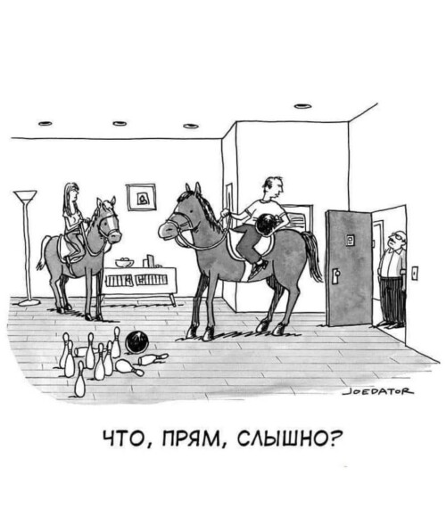 1000010863.jpeg" border="0